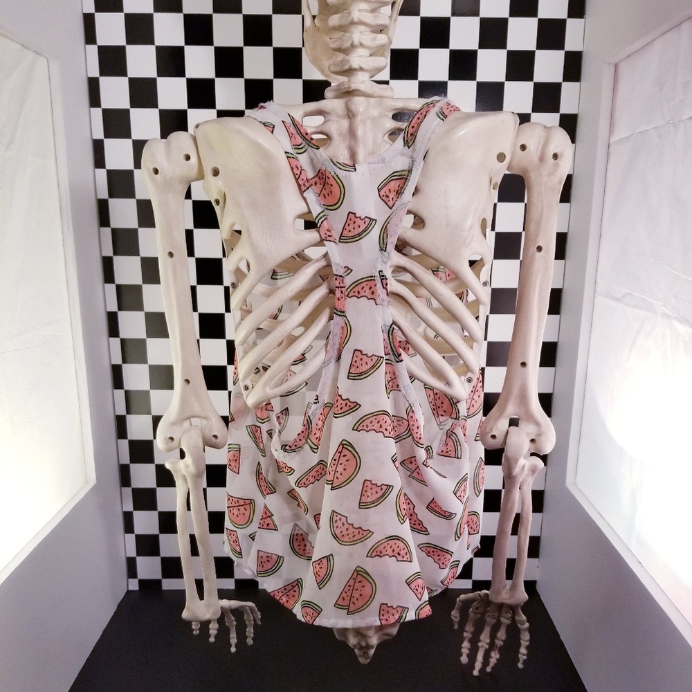 Watermelon Tank - Picture 2 of 3